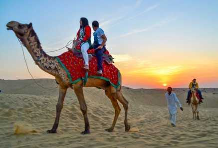 Camel Safaris in Jaisalmer
